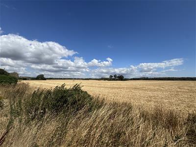 Picture 28